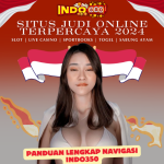 Panduan Lengkap Navigasi Indo350